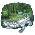 Swamp Works
